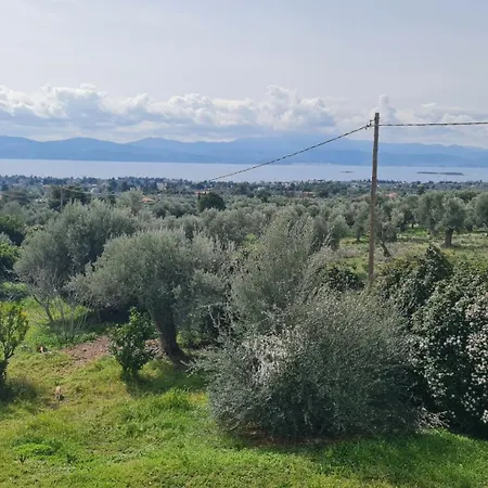 Cezar Apartament Erétria