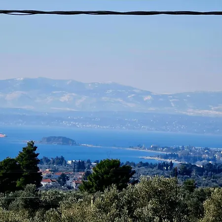 Cezar * Magoula (Evia)