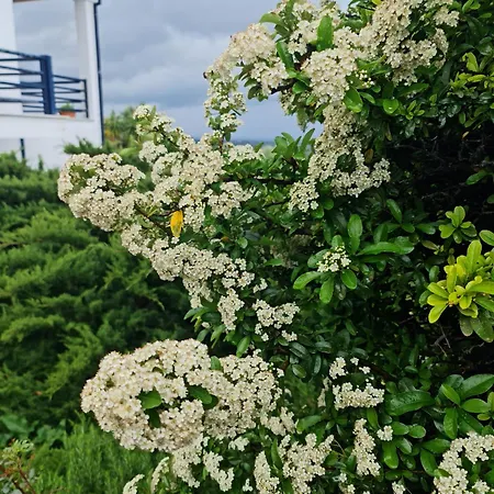 Appartamento Cezar *