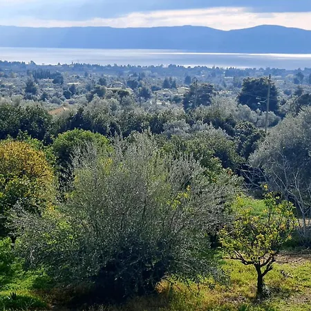 Appartamento Cezar Magoula (Evia)