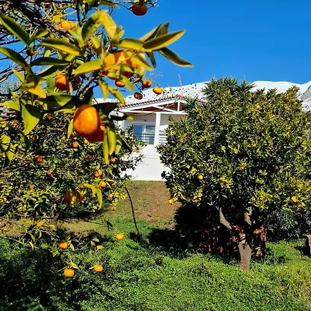 Cezar Apartament Erétria